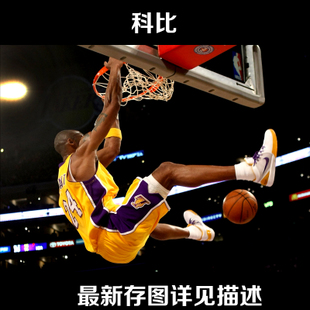 学历证书编号是毕业